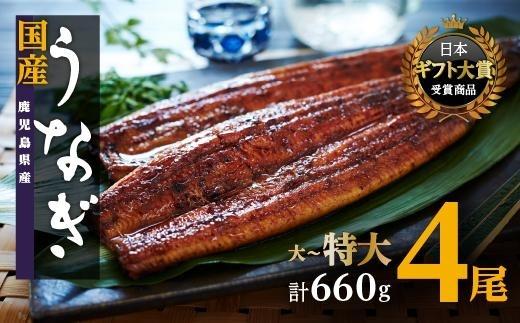 鹿児島県産うなぎ長蒲焼4尾 たれ たっぷり8袋付 鰻 国産うなぎ蒲焼き うな重 ひつまぶし ウナギ 蒲焼 おおさきうなぎ 人気 おすすめ  ふるさと納税 鹿児島県 鹿屋市 鹿屋 の近く 大崎町 | うなぎ うなぎ 鰻 ウナギ うなぎ うなぎ 鰻 ウナギ うなぎ うなぎ 鰻 ウナギ うなぎ うなぎ 鰻 ウナギ うなぎ うなぎ 鰻 ウナギ うなぎ うなぎ 鰻 ウナギ うなぎ うなぎ