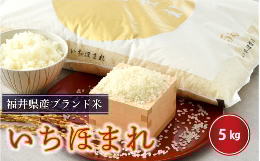 【令和6年産】さんさん池見二代目がお届けする 福井県産いちほまれ 5kg（玄米） [A-0260_04]