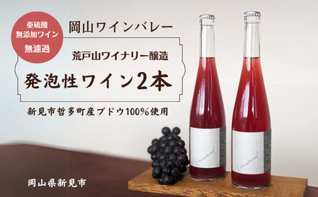 岡山ワインバレー 荒戸山ワイナリー醸造 ワイン2本セット（発泡性ワイン）