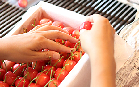 《先行予約》2025年 山形県産 特選ダイアナブライト 400g バラ詰 特秀3～4L F20A-034