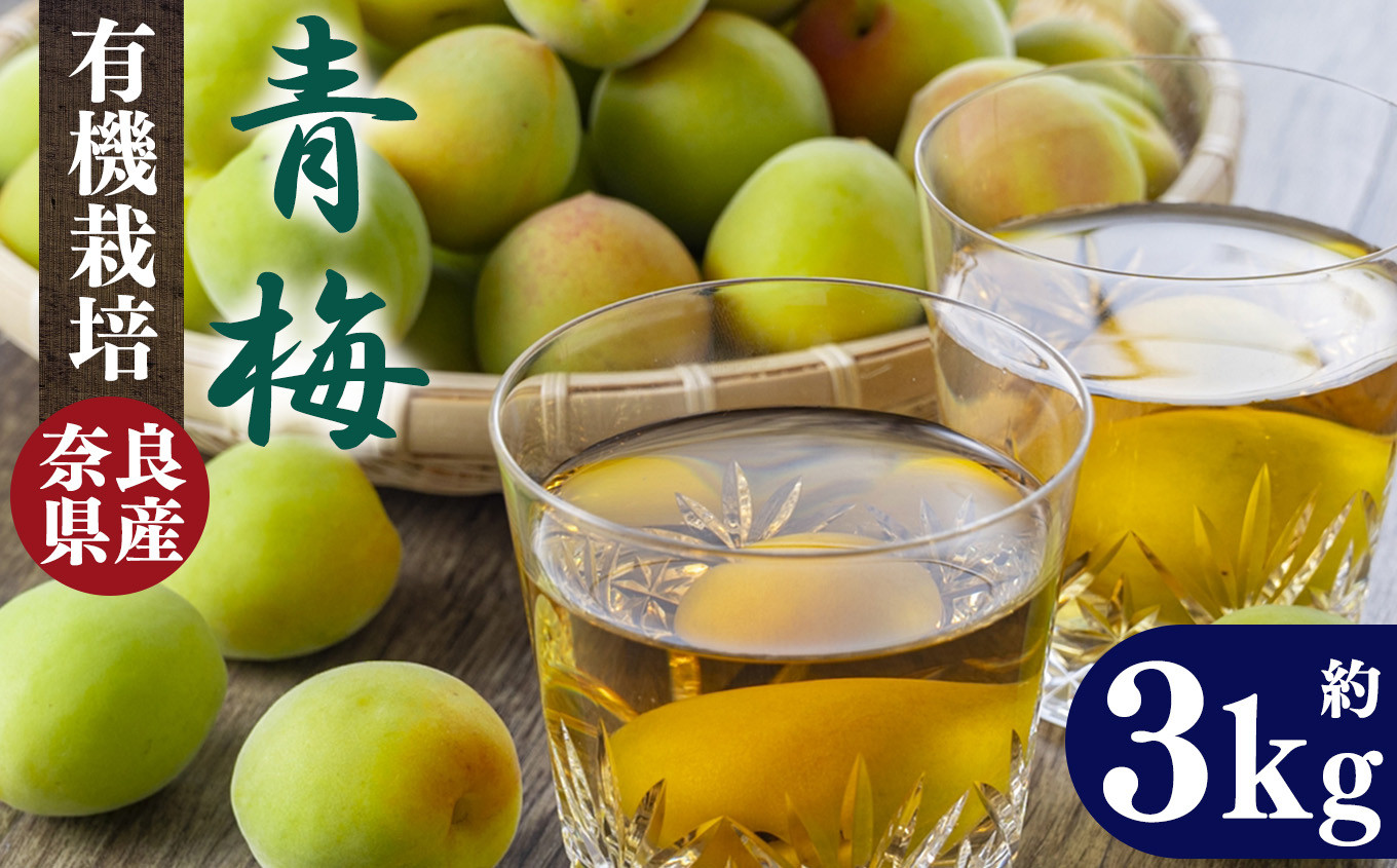 
            有機栽培 青梅 3kg（ジュース・梅酒・酵素用）| 果実 かじつ カジツ 梅 うめ ウメ 酒 奈良県 五條市
          