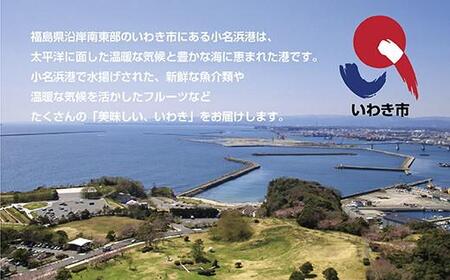 《先行予約》いわき市産梨　豊水3kg（約6～8個）