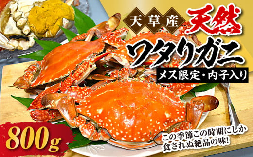 天草産 天然ワタリガニ メス限定内子入り 800g 2～3杯 渡り蟹 ワタリガニ カニ 蟹 天草名物 甲殻類 魚介 渡蟹 グルメ 冷凍 内子 内子入り