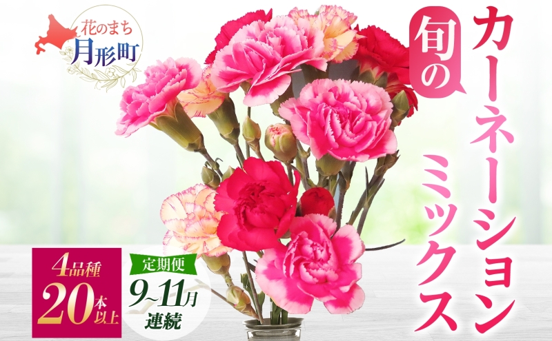 ＜2025年9月～11月まで3ヵ月連続お届け＞北海道 カーネーション ミックス 4品種 20本以上 花 花束 切花 ブーケ 旬 季節 生花 フラワー アレンジメント 