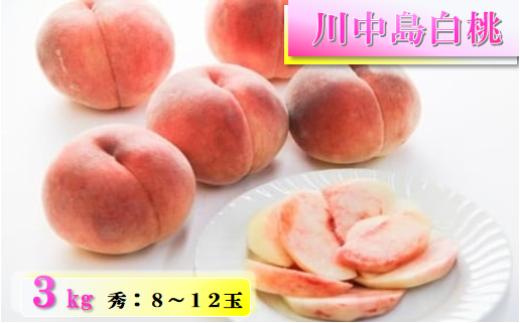 08-04-001　もも(川中島白桃)3kg