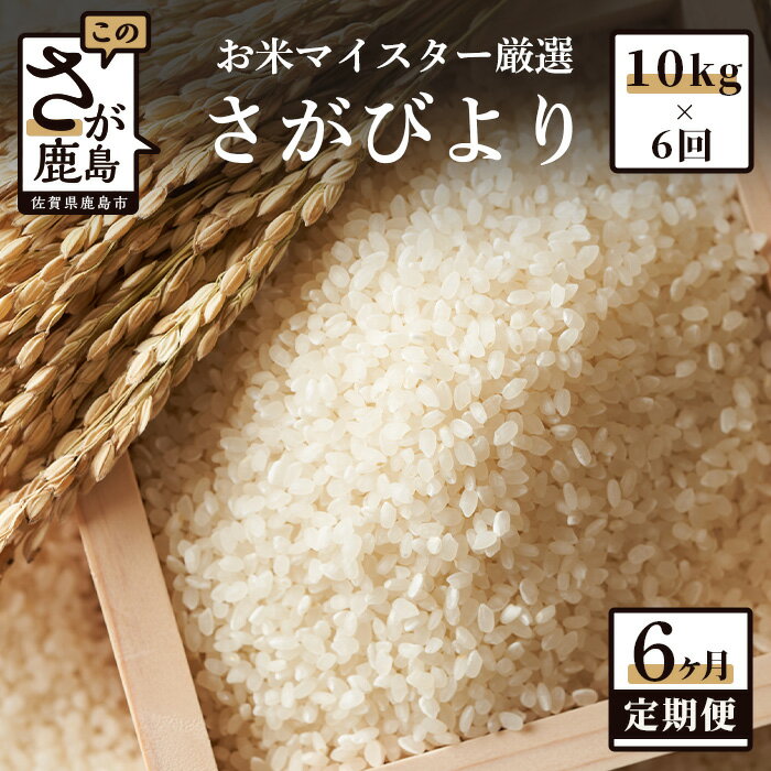 【ふるさと納税】11月発送開始 新米【定期便】佐賀県産 さがびより 白米 お米 10kg × 6回 計60kg 《6ヶ月連続 毎月お届け》 | ふるさと納税 定期 米 お米 新米 精米 国産 佐賀県 鹿島市 ふるさと 人気 送料無料 J-3 令和7年産