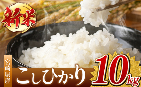 令和7年産  新米 こしひかり 10kg （白米） 宮崎県産 | 米 こめ お米 おこめ 精米 白米 コシヒカリ 宮崎県 五ヶ瀬町
