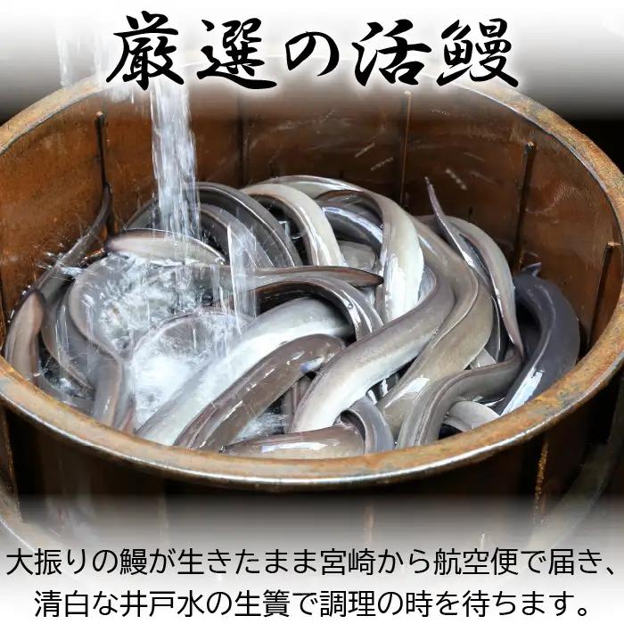 【冷凍】国産 鰻 蒲焼 白焼《各1/2尾》 タレ・三種の塩・うなぎのミニおつまみ付 〜明治37年創業「本多」〜 | 国産 ウナギ 蒲焼 炭火焼 おつまみ タレ 秘伝 （Ab-020）