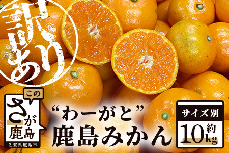 【先行予約】（2026年11月上旬～発送）”わーがと”鹿島産がばい訳アリみかん 約10kg【サイズ別】 【期日指定不可】みかん ミカン 蜜柑 柑橘 果物 フルーツ 甘い ふるさと納税 佐賀県 鹿島市 