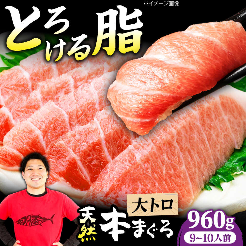 【ふるさと納税】極上！たね熟天然本まぐろ大トロ(960g) 天然 マグロ 鮪 まぐろ トロ 赤身 刺身 魚 魚介 ギフト 贈り物 贈答 プレゼント 人気 おすすめ 送料無料 大阪 大阪府 高槻 高槻市 ふるさと納税 大阪府高槻市/本まぐろ直売所[AOCE008]