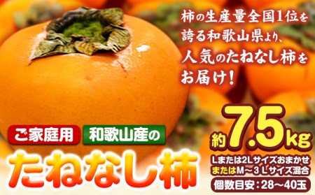 【ご家庭用】和歌山産のたねなし柿約7.5kg Lまたは2LサイズおまかせまたはM～3Lサイズ混合(個数目安:28玉～40玉)《10月上旬-11月末頃出荷予定》 和歌山県 紀の川市 紀の川市厳選館 柿 カキ かき ジューシー フルーツ 秋の味覚 刃根早生 平核無柿