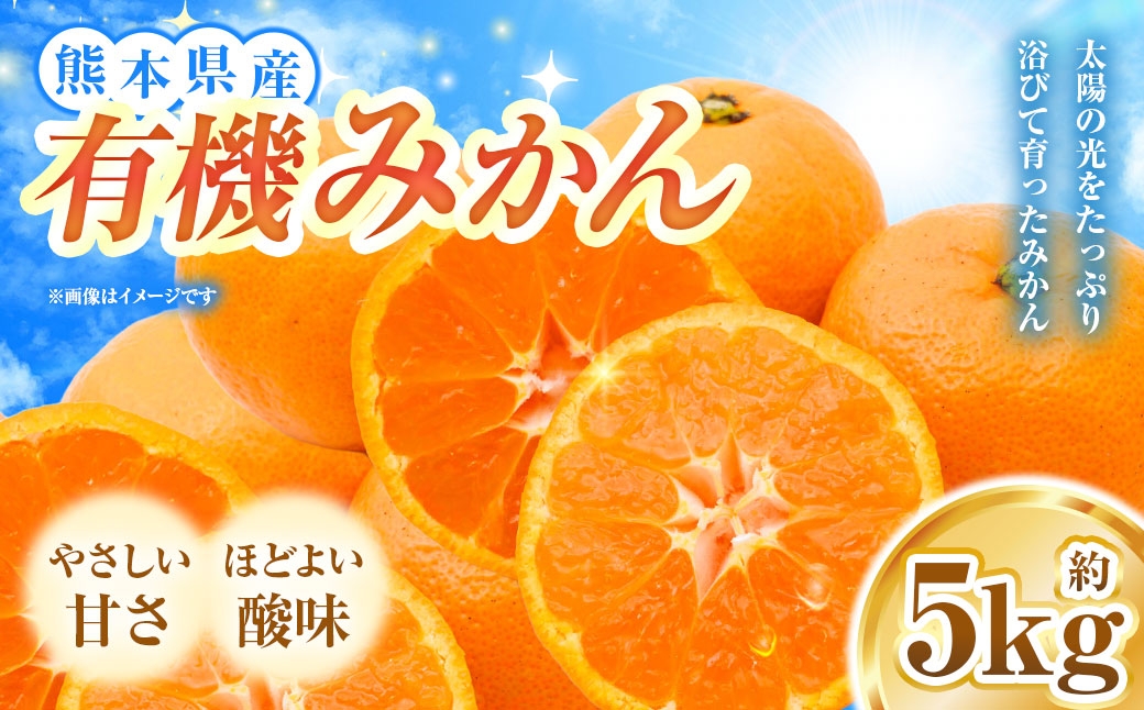 
                  有機みかん 約5kg みかん 果物 フルーツ 柑橘 果実 果汁 果肉 甘み 酸味 贅沢 熊本県産 国産 【 2026年9月下旬から2027年1月上旬発送予定 】
                