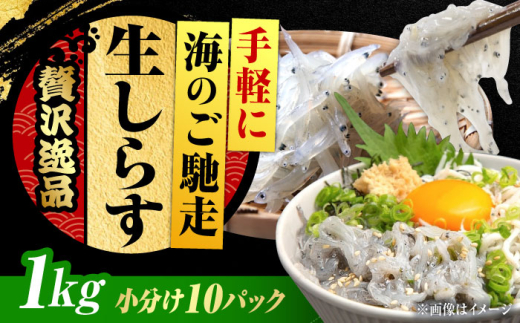 しらす 冷凍 シラス 小分け 干し 生しらすのプリッした食感と塩味が抜群！生しらす100g×10個 冷凍 シラス 鮮魚 ギフト 海鮮丼 広島県産 江田島市/三島水産株式会社 [XCN006]