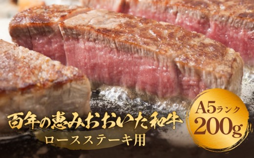 「百年の恵み おおいた和牛 」A5 ロース ステーキ用 200g×１枚 おおいた和牛 ロースステーキ A5等級 黒毛和牛 大分県産 牛肉 高級肉 霜降り 和牛ステーキ 風味豊か 血統 高評価 冷凍 赤身