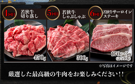 【肉の定期便×6回コース】肉好き大集合！若狭牛 食べ比べ 定期便！【福井のブランド牛肉】【4等級以上】