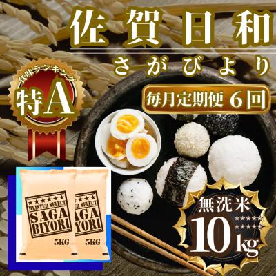 ふるさと納税 佐賀県 【毎月定期便】【無洗米】さがびより10kg(5kg×2袋)(佐賀県)【41ANAD022】全6回
