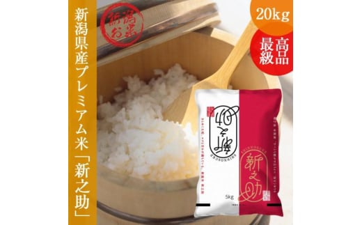 令和7年産 新之助 しんのすけ 20kg (5kg×4袋 ) 新潟 お米