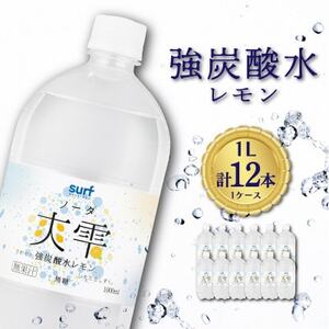 【毎月定期便】サーフ　爽雫(ソーダ)強炭酸水レモン 1L×12本　1ケース　国産炭酸水全3回【4050654】