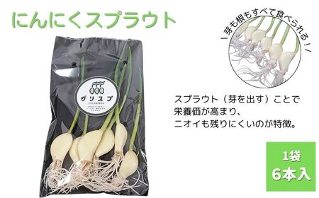 にんにくスプラウト10袋セット