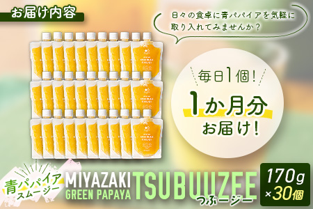 青パパイアスムージー 30個入 MIYAZAKI GREEN PAPAYA TSUBUUZEE ～青パパイアの粒々とフレッシュな柑橘の味わい～  【E171】