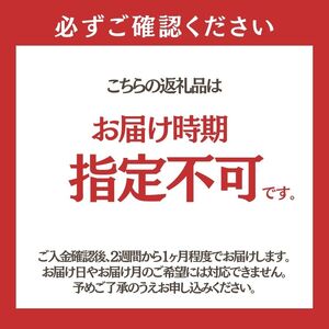 無洗米 孫兵衛のあきたこまち 10kg 秋田県 能代市産 新米 令和5年産