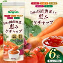 【ふるさと納税】【選べる本数】5種の国産野菜入り恵みケチャップ190g×6本セット or 190g×15本セット｜ふるさと納税 信州 長野県 松本市 トマト100％ ケチャップ 食料 野菜