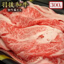 【ふるさと納税】羽後和牛 贅沢切り落とし300g　【羽後和牛・切り落とし・和牛・300g】