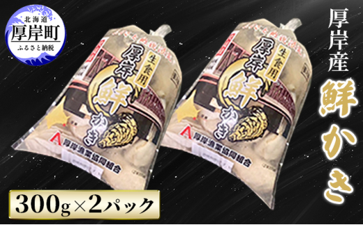 
厚岸産 鮮かき 300g×2パック (合計600g) 剥き牡蠣 カキ[№5863-0956]
