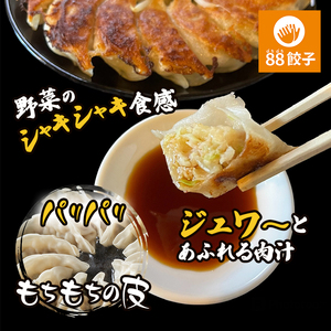 【定期便・3回コース】浜松餃子の88ぱちぱち餃子  80個 幸せな食卓セット【配送不可：離島】