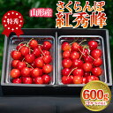 【ふるさと納税】さくらんぼ 「紅秀峰」 600g 特秀品 2Lサイズ以上 山形産【令和7年産先行予約】 FS24-037 くだもの 果物 フルーツ 山形 山形県 山形市 2025年産