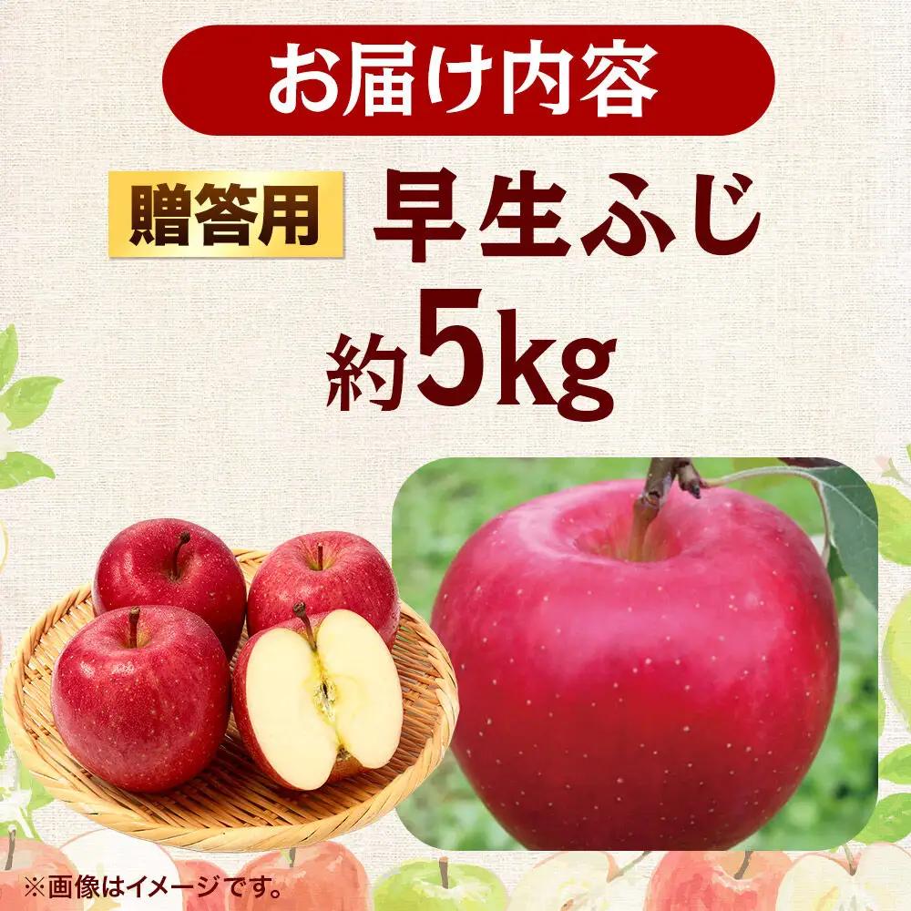 【26年9月発送】りんご 早生ふじ【贈答用】約5kg 青森県 弘前市