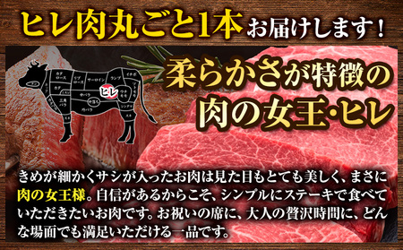 博多和牛 ヒレ肉丸ごと1本 約3.5kg 久田精肉店株式会社《30日以内に出荷予定(土日祝除く)》 博多和牛 牛肉 赤身 3.5kg A5等級 国産 ヒレ ステーキ 