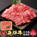 【ふるさと納税】＼行列の絶えない人気精肉店が厳選／ 飛騨牛 焼肉用 モモ肉 約 400g A5 等級 | 肉のかた山 岐阜県 国産 牛 牛肉 ブランド牛 和牛 黒毛和牛 お祝い 焼き肉 肉ギフト ギフト A5等級 贈り物 キャンプ BBQ アウトドア イベント 岐阜 美濃加茂市 送料無料 M12S85