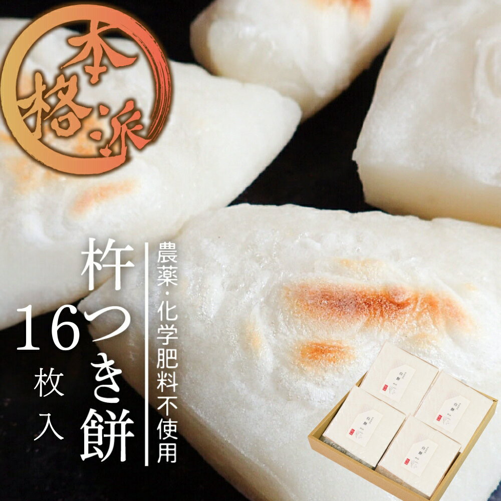 【ふるさと納税】先行予約【2026年1月下旬から3月下旬に発送】飛騨河合 吉眞（よしざね）家が贈る　素材からこだわった手つき杵つき餅 16枚(4枚×4袋) 餅 モチ もち 手作り てづくり 年末 年始 お正月 雑煮 おしるこ 1万円 10000円 [Q927x]