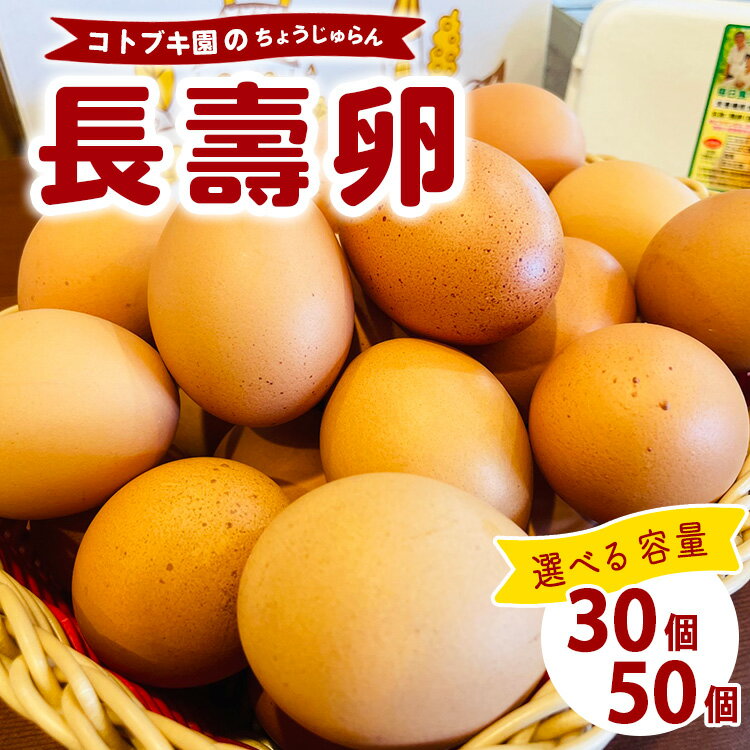 【ふるさと納税】【選べる容量】当社自慢の卵 長壽卵 | 卵 たまご タマゴ ちょうじゅらん 鶏卵 玉子 国産　※離島への配送不可