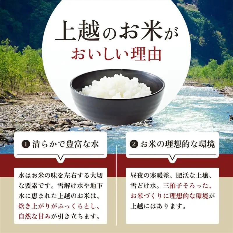 9月開始  新之助 無洗米 新潟県 上越産 10kg (5kg×2) 3か月 定期便 しんのすけ 五つ星お米マイスターのいるお店 お米 精米 米 ご飯 大黒屋商店