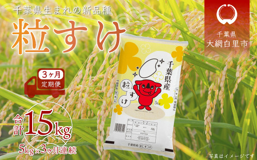 【2025年10月より発送開始】＜3ヶ月定期便＞ 令和7年産 千葉県産「粒すけ」5kg×3ヶ月連続 計15kg ふるさと納税 米 定期便 5kg 粒すけ 千葉県 大網白里市 送料無料 A029