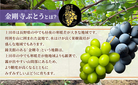 シャインマスカット ナガノパープル 信州上田産金剛寺ぶどう 約2kg 4房 詰め合わせ 葡萄 ブドウ 2kg 果物 くだもの フルーツ デザート 旬の果物 旬のフルーツ 長野県 長野