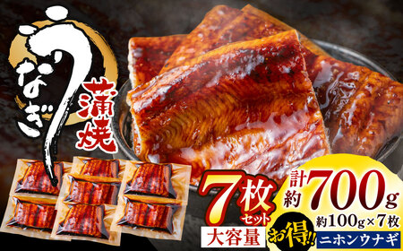 AD166.うなぎ蒲焼き（約100g×7Pセット）