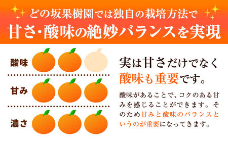 早生みかん 5kg(2S～Lサイズ)  みかん 柑橘