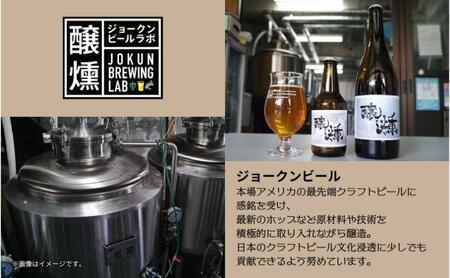 クラフトビール 2種 330ml 計4本 酒ヘイジーIPA ライトクラフトビール ビール 地ビール 瓶ビール ヘイジーIPA お酒 酒 ホップ 麦芽 人気 晩酌 宅飲み 家飲み 飲み比べ お取り寄せ 