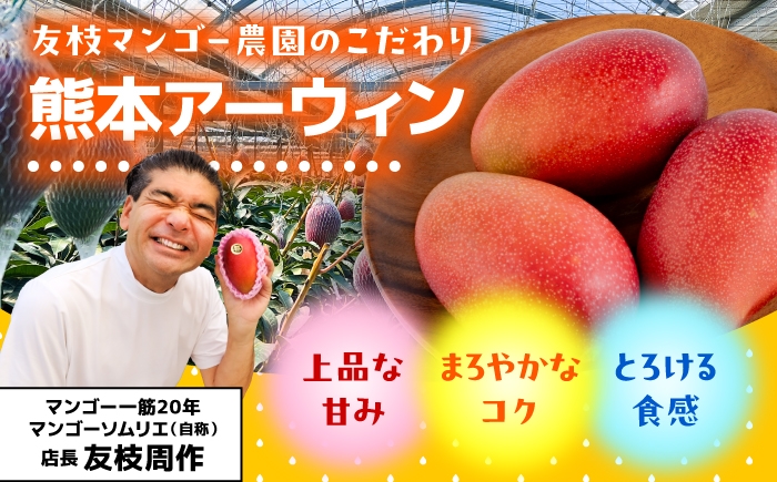 秀品 菊池マンゴー2玉 各625g以上 4Lサイズ