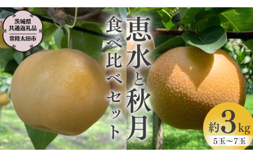 【 2026年 先行予約 】 厳選 2種！恵水 と 秋月 の 食べ比べセット 約3kg 5玉～7玉 【 茨城県共通返礼品 ／ 常陸太田市 】 2026年9月中旬発送 桧山果樹園[DU019sa]