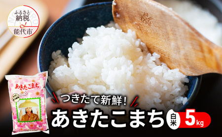 秋田県産 あきたこまち 5kg 令和7年産  精米 [ ご飯 ブランド米 おにぎり 本場 お米 産地直送 おこめ ごはん 秋田県 秋田 能代市 保坂米穀店 ] 