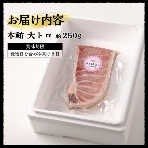 a20-373　焼津 本マグロ 大トロ 1本約250g 冷凍 F1