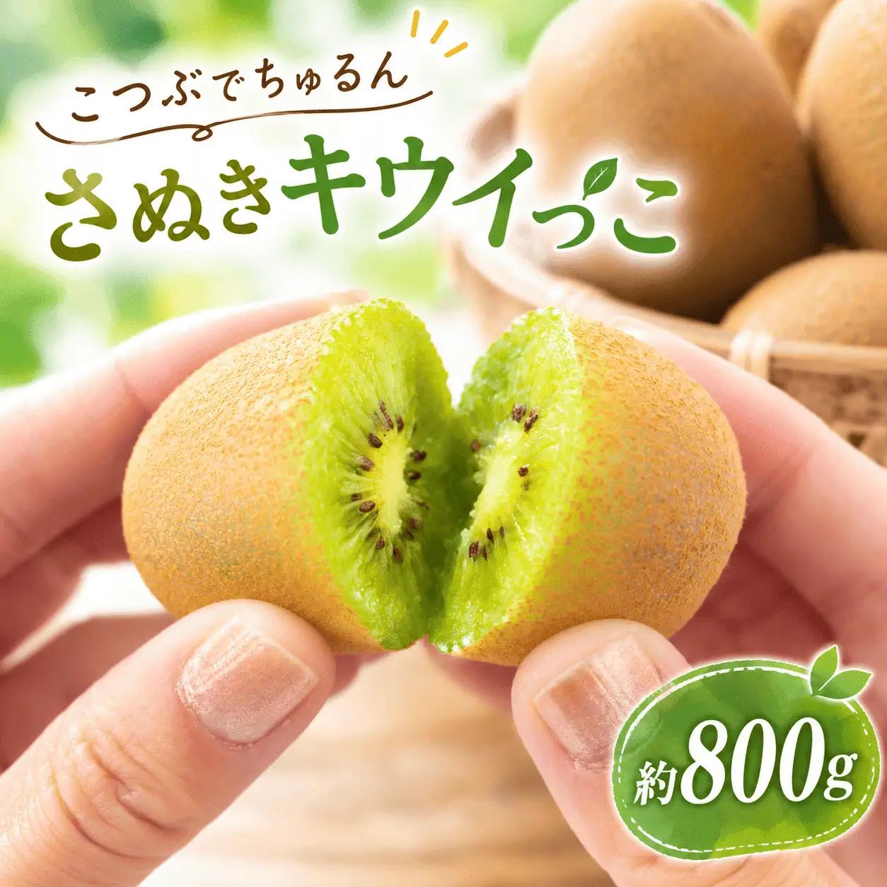【11月順次発送】さぬきキウイっこ 800g キウイ フルーツ 香川県 丸亀市