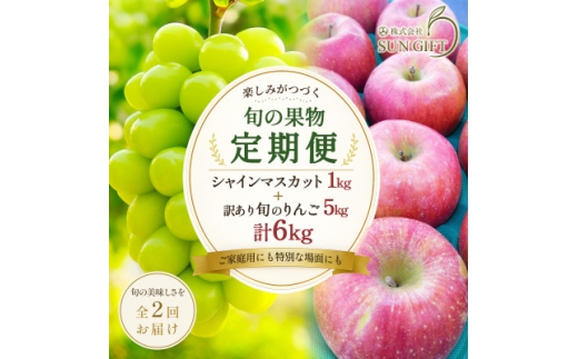 ＜2ヵ月毎定期便＞シャインマスカットと訳あり信州りんごの定期便　-信州高山村-全2回【4089244】