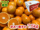 【ふるさと納税】訳あり傷多め【マルチ栽培・有田みかん】約7.5kg（サイズおまかせ） ※着日指定不可 12月中旬頃〜翌年1月下旬頃に順次発送予定