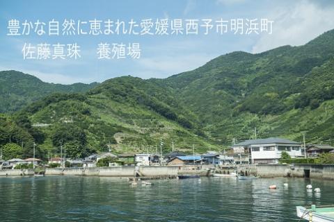 明浜産真珠ペンダント・スルーバロック（ピンクゴールド）