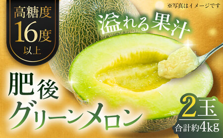 【先行予約】【数量限定】肥後グリーンメロン　約4kg(2玉入)【日本フルーツ株式会社】[ZFJ004]